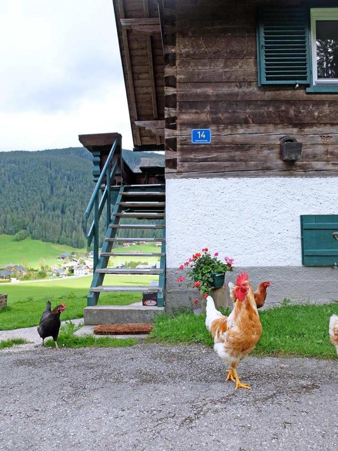 Ferienhaus Asterbach Gosau Esterno foto