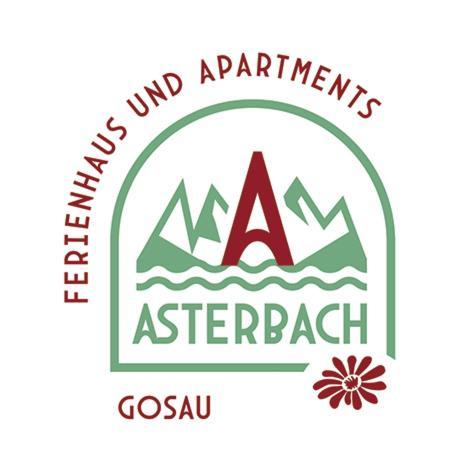 Ferienhaus Asterbach Gosau Esterno foto