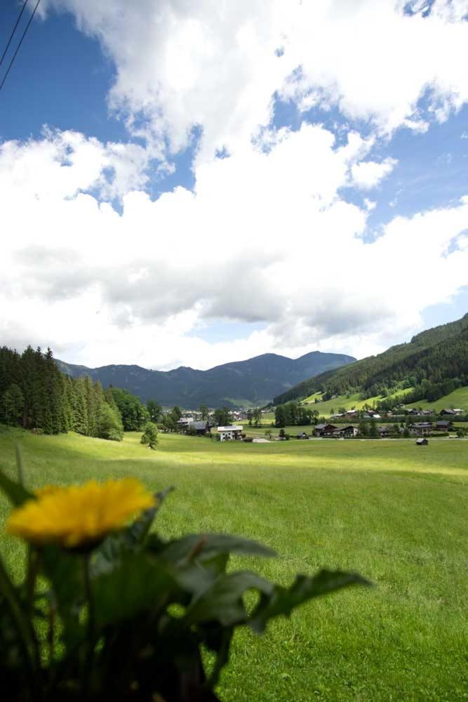 Ferienhaus Asterbach Gosau Esterno foto