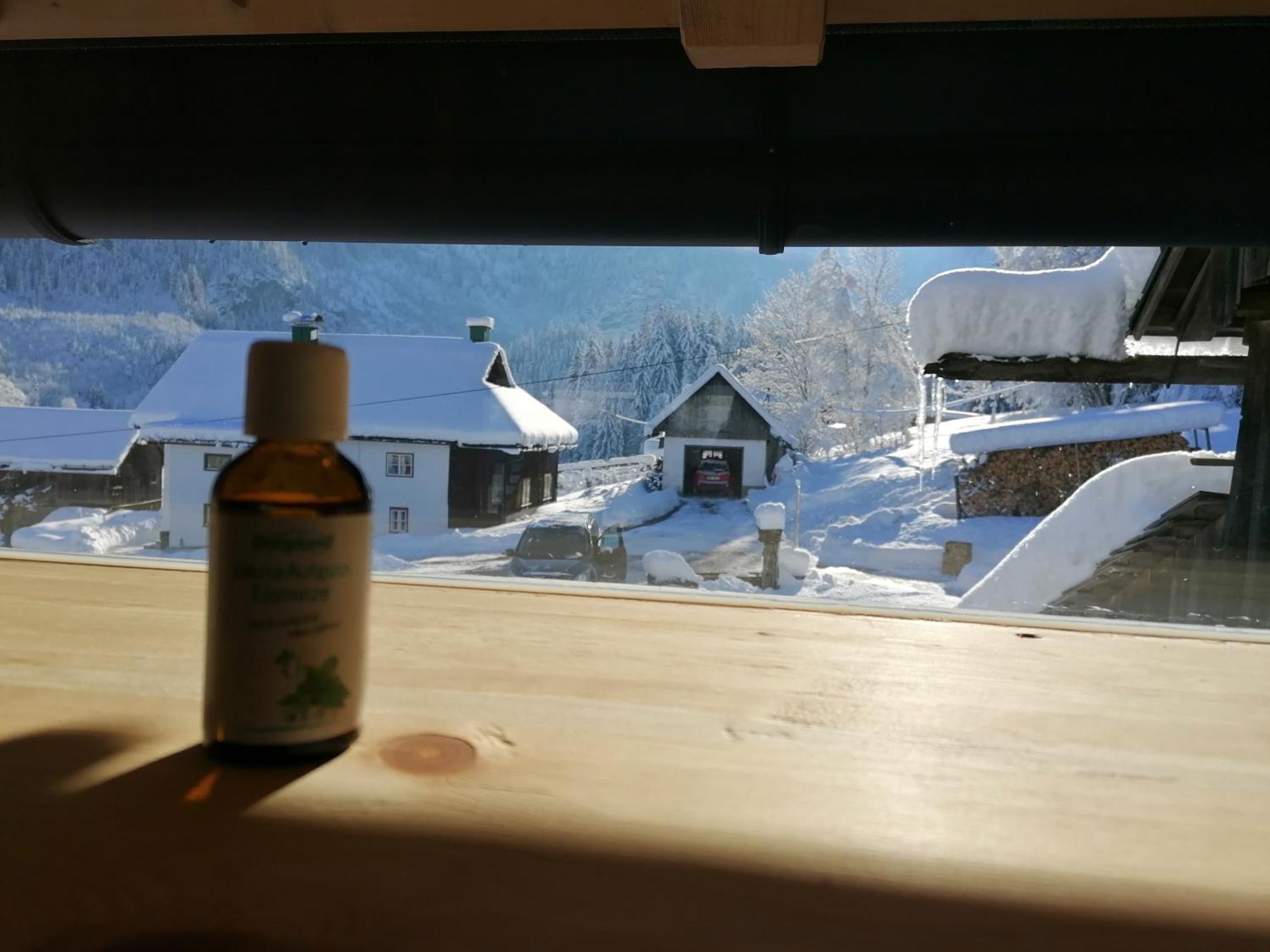 Ferienhaus Asterbach Gosau Esterno foto